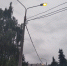 0b662d71-5ad9-4eb8-952b-3d6b04fc80e0.jpg - Котельники сегодня