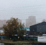 Юго-западный ветер в Котельниках принесет дождь в пятницу - Regions.Ru