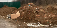 В Минэкологии потребовало ликвидировать свалку отходов в микрорайоне Силикат - Regions.Ru